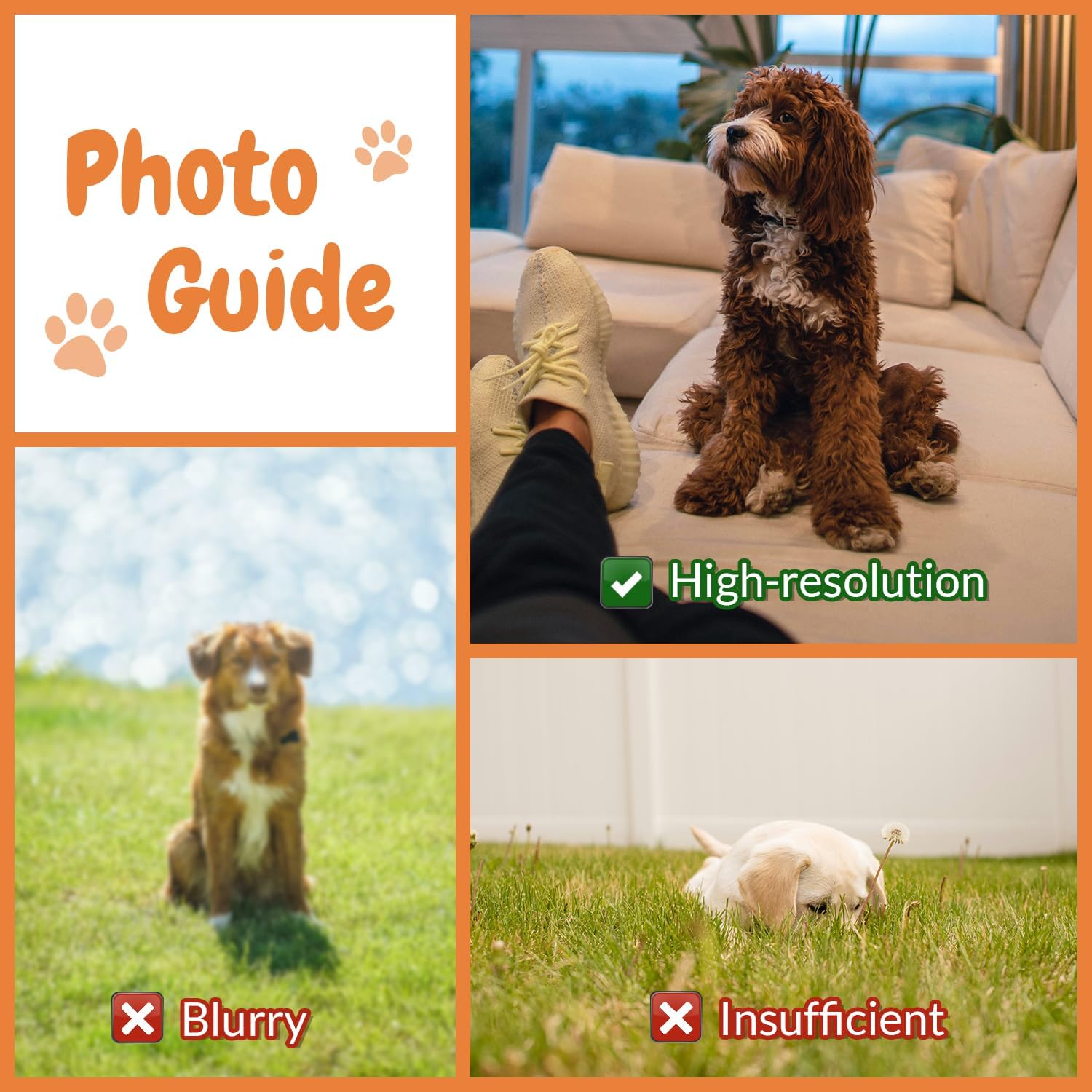 Customised Photo Pet Home Pill - Home Textiles Images avis et prix