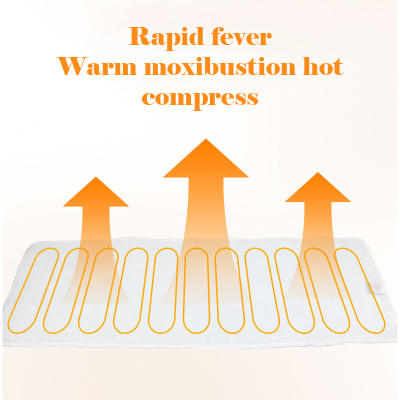 Extra Large Electric Heating P - Electric Blanket Heated avis et prix